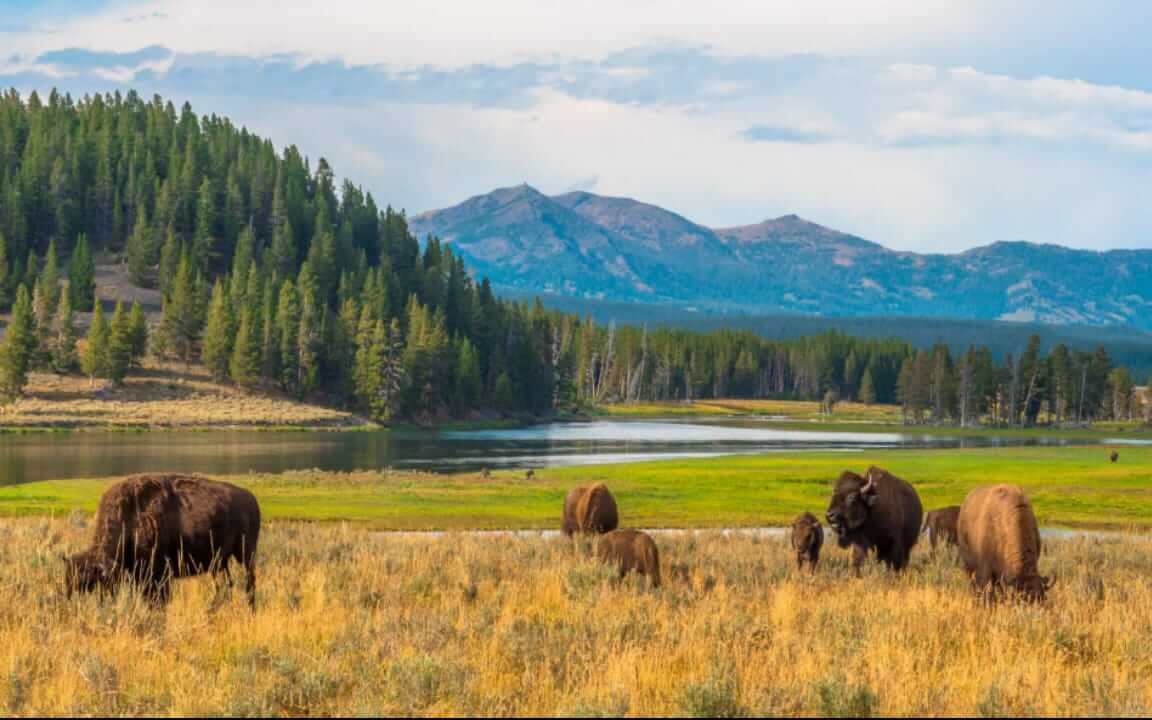 configuration firestick francais