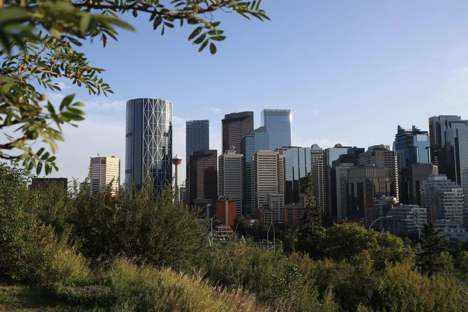 iptv alberta calgary edmonton