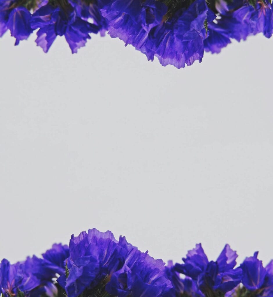 Vancouver skyline with mountains — IPTV British Columbia service area